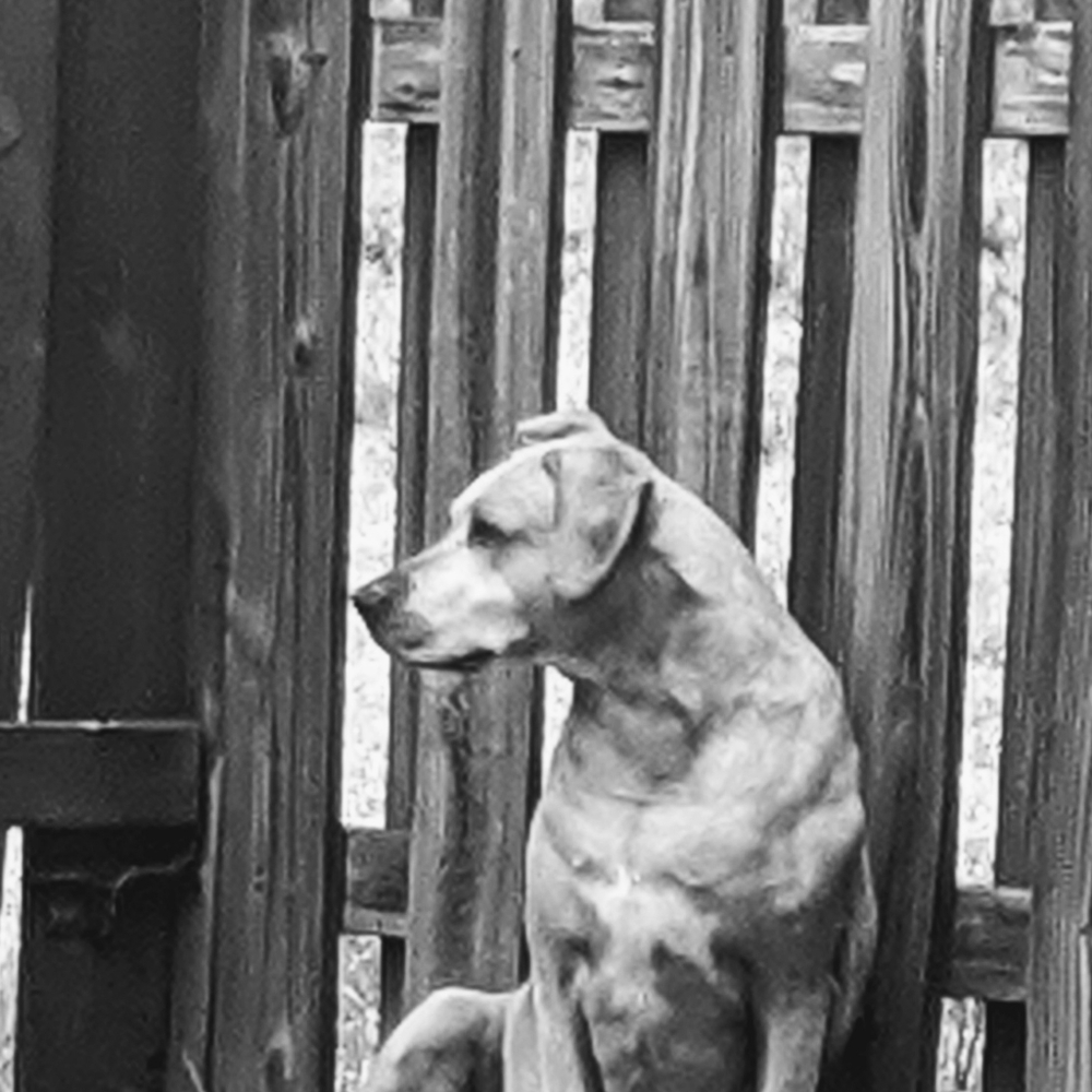 Meet your Posher, Christopher